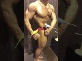 モフモフとムキムキのセキセイインコとボディビルダーのポージング