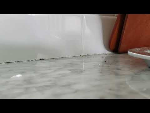 Ants Invade Kitchen in Eatontown, NJ