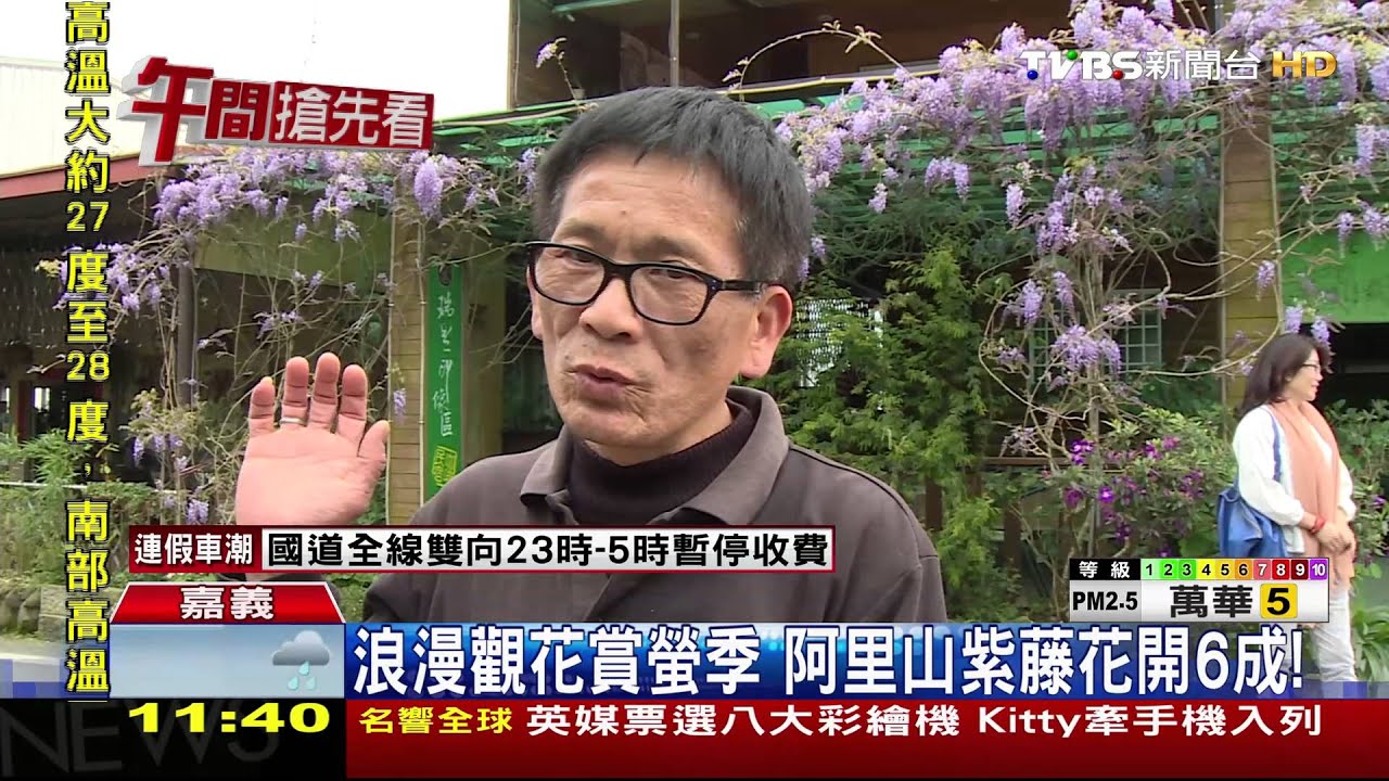 天候影響 白河木棉花道花期延後花開6成
