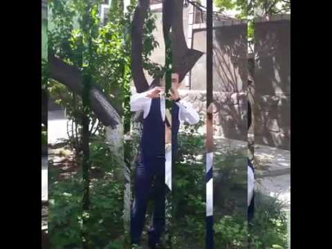 SARGIS DAVTYAN _DUDUKI DPROC