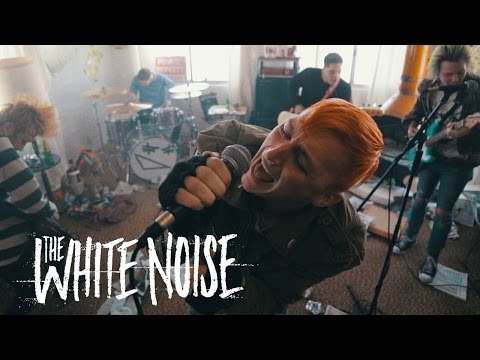 The White Noise - Picture Day (Official Music Video)