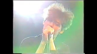 The Jesus And Marychain Live The Tube 11/10/85