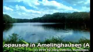 preview picture of video 'Lopausee in Amelinghausen #1'