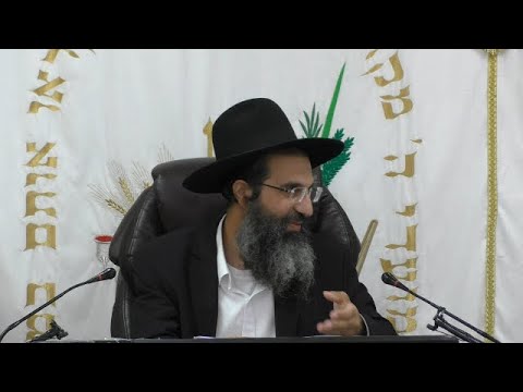 מדיני סוכה וערב חג 🌿 הרב שי עובד | שלישי - שבת סוכות - תשפה