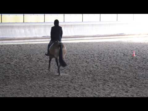 AMATEUR HUNT SEAT EQUITATION. IAF 6807