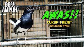 Download lagu SUARA PANCINGAN KACER TERBAIK BIKIN SEMUA KACER APAPUN LANGSUNG NYAUT AUTO GACOR mp3