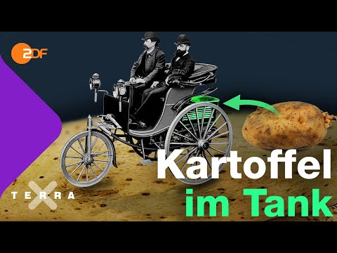 Die steile Karriere der Kartoffel | Terra X plus