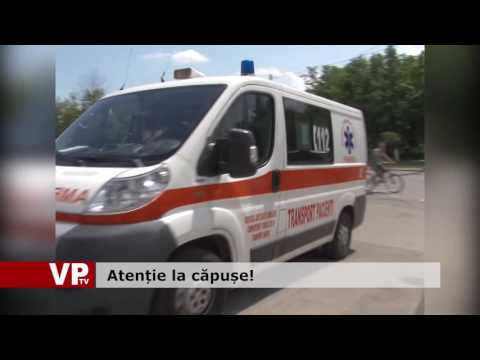 Atenție la căpușe!