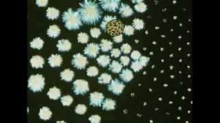 Uncertainty Principle