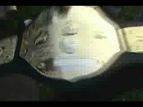 KWE Impact Championship