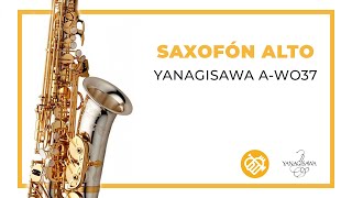 Video thumbnail for Saxofón Alto YANAGISAWA - AWO37 by Instrumentomania