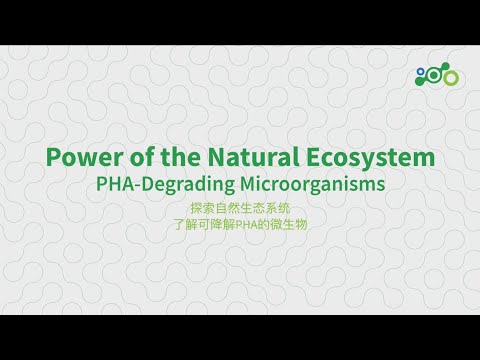 PHA-Degrading Microorganisms | Bluepha