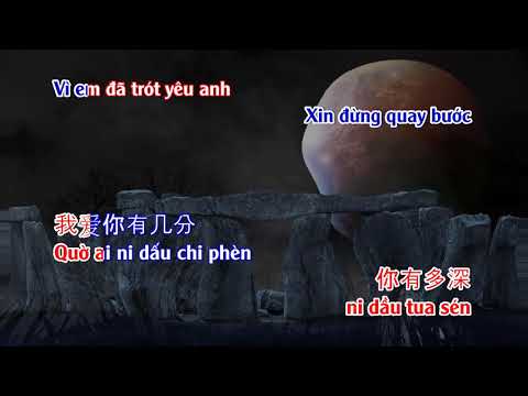 HOA VIỆT KARA | Karaoke Ánh Trăng Nói Hộ Lòng Tôi Vietsub song ngữ - Đặng Lệ Quân