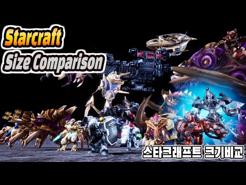 Starcraft Unit Real Size Comparison