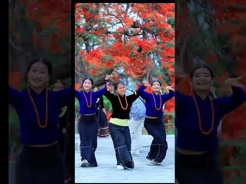 Pir Nagara Nirmaya 🥰 Tilak Basnet 😻 Melina Rai 😘 Chris Gurung 😍 Nisha 🐰 Kunga 🐼 New Nepali Song 2081