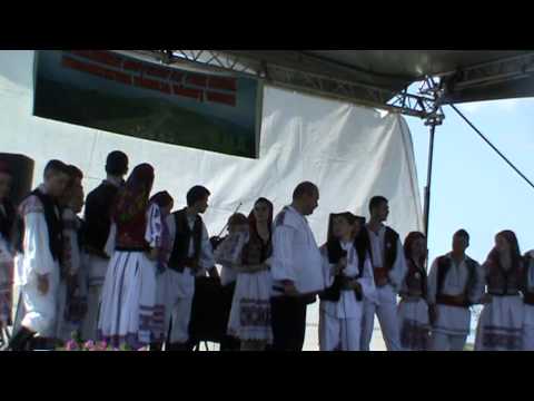 Viorel si Alex BORDEA - live - Intalmirea motilor la Tisa Noua