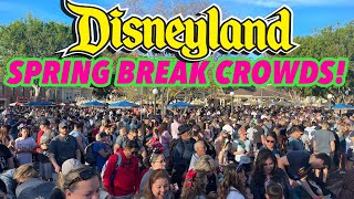 How to Survive the Huge Spring Break crowds at Disneyland! Our Tips and Updated Park info!