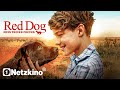 Red Dog True Blue ADVENTURE FILM In Full Length Family Films German Complete 2024