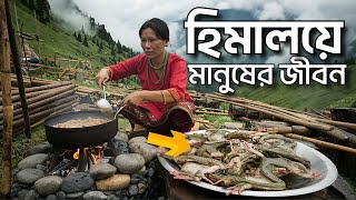 ভয়ংকর হিমালয়ের উচ্চতায় কিভাবে মানুষ বসবাস করে |How A People lives high in the Himalayan mountains