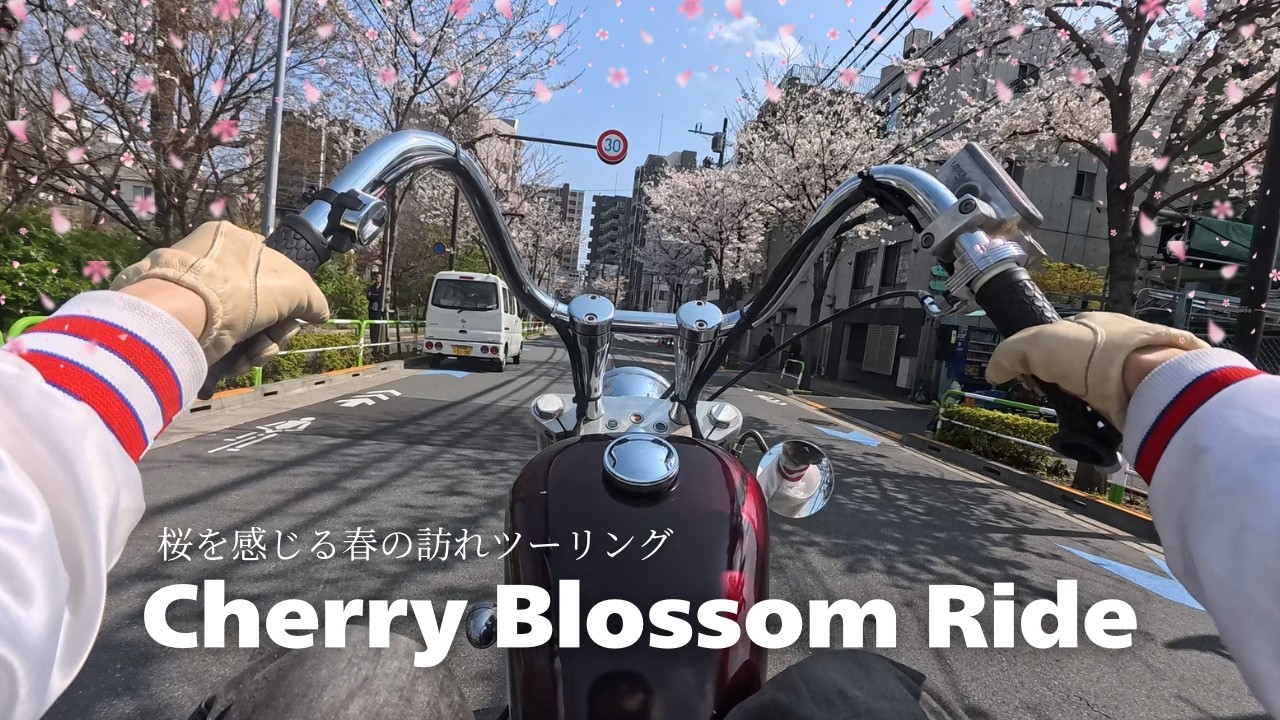 桜の中をカフェ巡りとツーリングとひとり旅【ソロツーリング】