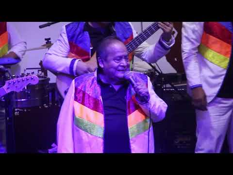 Los Shapis (Ladron de Amor, Corazoncito) Peña Turistica Pocho