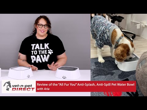 All Fur You Anti Splash, Anti Spill Pet Water Bowl