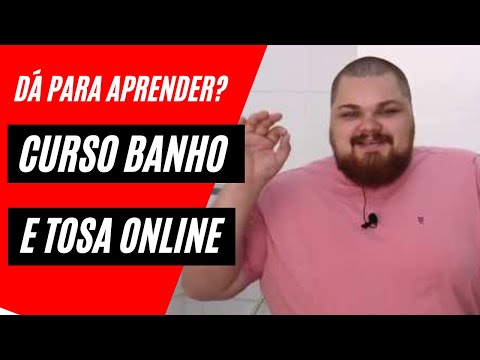 CURSO A DISTÂCIA DE BANHO E TOSA - CURSO Banho e Tosa Online   SAMUEL CASTRO