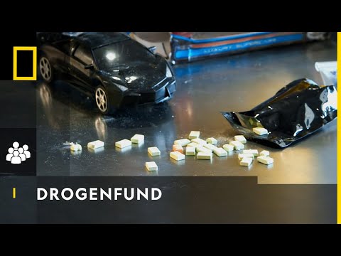 Spürnase schlägt an! | Schmugglern auf der Spur