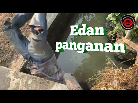 DAGELAN JOWO EPS #3 - RAYAHAN PANGANAN