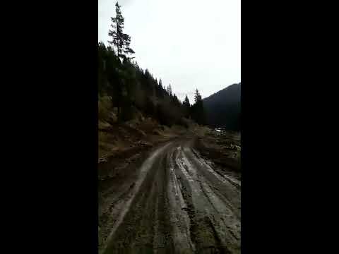 DJ 174E Dârmoxa - Panaci