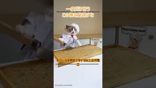 #日本株 #日経平均 #株式投資 #テクニカル分析 #投資戦略 #短期投資 #長期投資 #株初心者 #資産運用 #資産形成 #高配当株 #株価予測 #トレード初心者