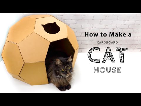 How to make Amazing Kitten Cat Pet House from Cardboard