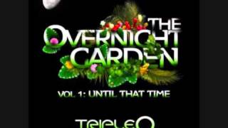 Triple O -- 06 Wait, While I'm Here (Feat. Briana Scott) [The Overnight Garden]