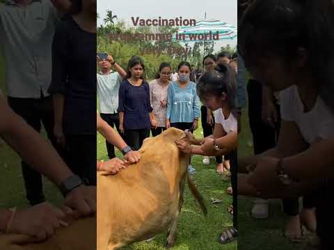 VFA trainee giving injection/vaccination to animal in World veterinary day .:2023#doctor #animals