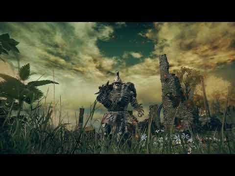 Elden Ring (PC) - IMMORTAL - Tank/Dps BUILD ULTRA LATE GAME [NG+]