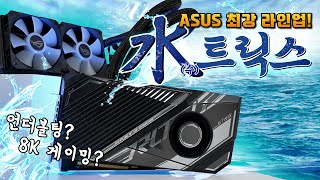 퀘이사존