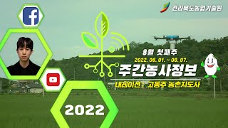 [ 주간농사정보 ] 8월 첫째주 (2022. 08. 01. ~ 2022. 08. 07.)