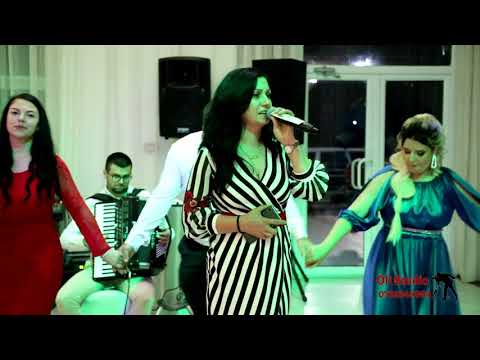 Formatia Armega 🔸 Cele mai tari sarbe pe 2024 🔸 Sarbe bomba 2024 🔸 Sarbe BELEA 2024 🔸 Hai cu Sarba🔸