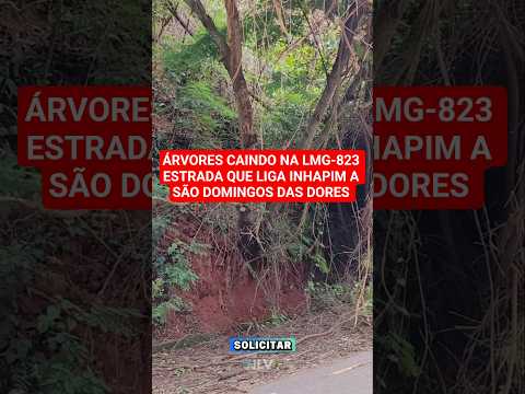 Árvores caindo na LMG-823 estrada que liga inhapim São Domingos das Dores #LMG823 #sãodomingosdores