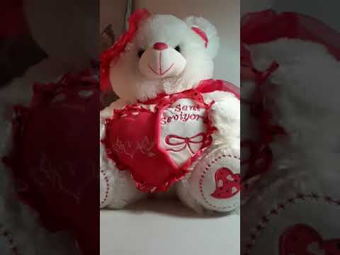 Öğretmenimden Masallar/Seni Seviyorum Anneciğim