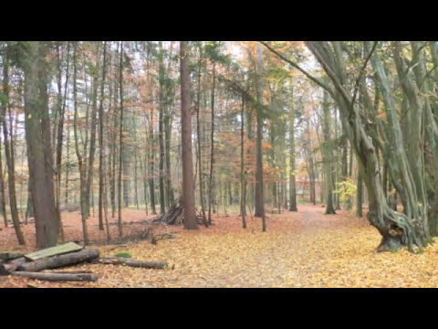 Jayatissa Hettiarachchi - Sanda Nathi Mata