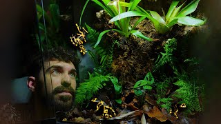 🌿 BIOACTIVE VIVARIUM FOR BUMBELBEE POISON DART FROGS | TERRAQUAMAN