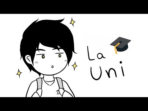 My experience at the University 🎓