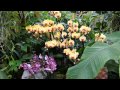 Netherlands: The Floriade in Venlo 2012 - Tropical ...