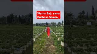 Download lagu Nadien Maya Joget #fyp #shortvideo mp3