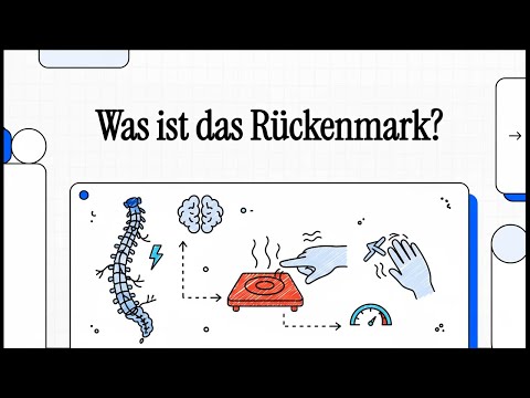 Natürliche Selektion| EINFACH ERKLÄRT