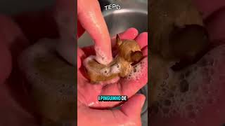 Esse cachorrinho é tão fofo! 🐶💖