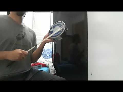 Unidos de Vila Isabel 2002