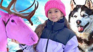 Ruby and Bonnie Husky and Reindeer Adventure in Lapland