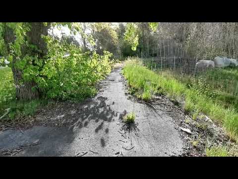 KSP-Värn vid den GAMLA RASTPLATSEN i FÖRKÄRLA (VAMBÅSA) - 200520 (Huawei P30 PRO-version) - RONNEBY